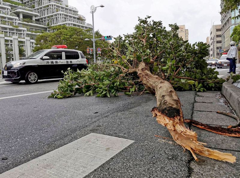 &copy; Reuters. شجرة سقطت على طريق عندما ضرب الإعصار هينامور مقاطعة أوكيناوا في صورة لوكالة أنباء كيودو اليابانية يوم الأحد. صورة لرويترز (يحظر استخدام الص