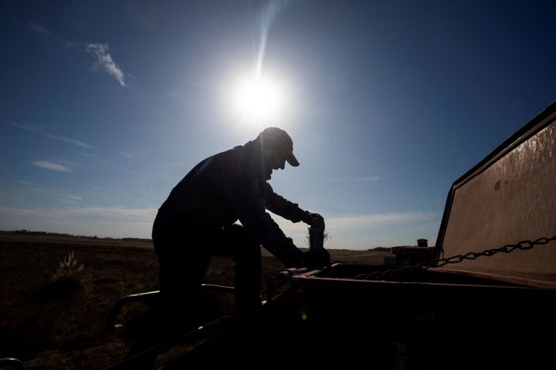 &copy; Reuters. FILE PHOTO: An agricultural worker checks a seeder before sowing wheat on farmland in Comodoro Py, on the outskirts of Buenos Aires, Argentina June 21, 2022. REUTERS/Matias Baglietto/File Photo