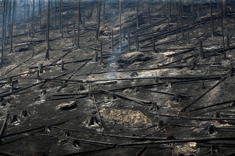 &copy; Reuters. Foto de archivo de una zona arrasada por los incendios cerca de Hrensko, en República Checa 
Jul 26, 2022. REUTERS/David W Cerny