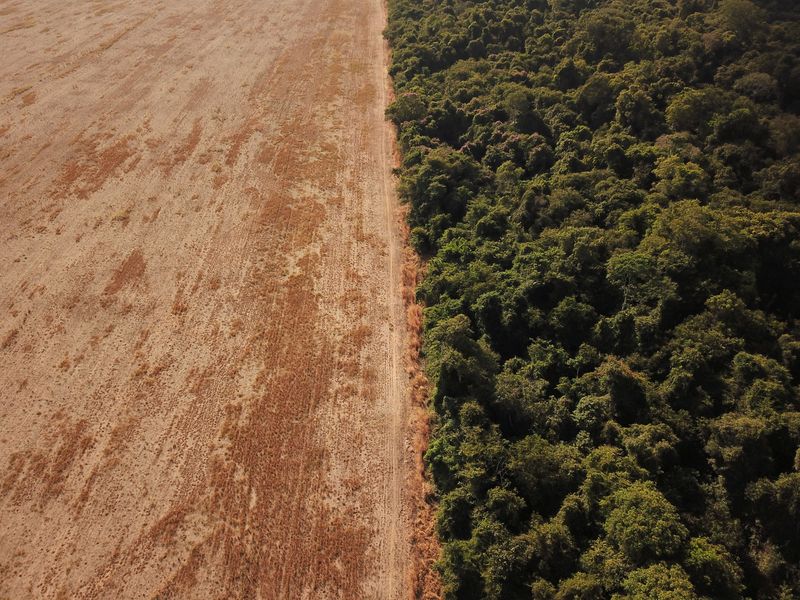 &copy; Reuters. Vista aérea mostra desmatamento na Amazônia no Estado brasileiro do Mato Grosso. Arquivo. REUTERS/Amanda Perobelli