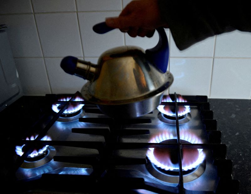 &copy; Reuters. FILE PHOTO: A gas cooker is seen in Boroughbridge, northern England November 13, 2012. REUTERS/Nigel Roddis/