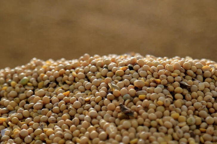 &copy; Reuters. Imagen de archivo de granos de soja en una finca de Caaguazú, Paraguay. 17 febrero 2020. REUTERS/Jorge Adorno