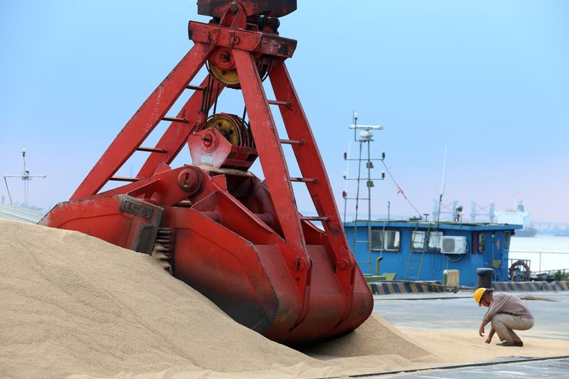 &copy; Reuters. Imagen de archivo de soja importada siendo transporta en un puerto de Nantong, provincia de Jiangsu
