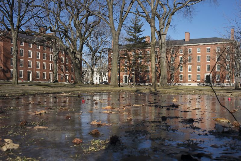 &copy; Reuters. FILE PHOTO: Buildings in Harvard Yard are reflected in frozen puddle at Harvard University in Cambridge, Massachusetts January 20, 2015. REUTERS/Brian Snyder 