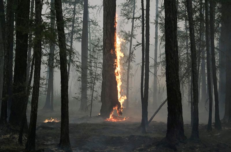 Why Arctic wildfires are releasing more carbon than ever