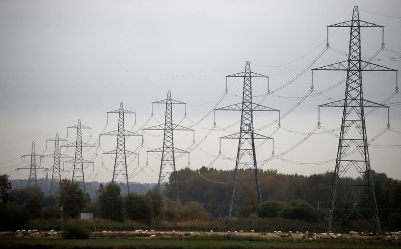 &copy; Reuters. FILE PHOTO: Sheep graze beneath a row of electricity pylons near Ellesmere Port, Britain, October 11, 2021. REUTERS/Phil Noble/