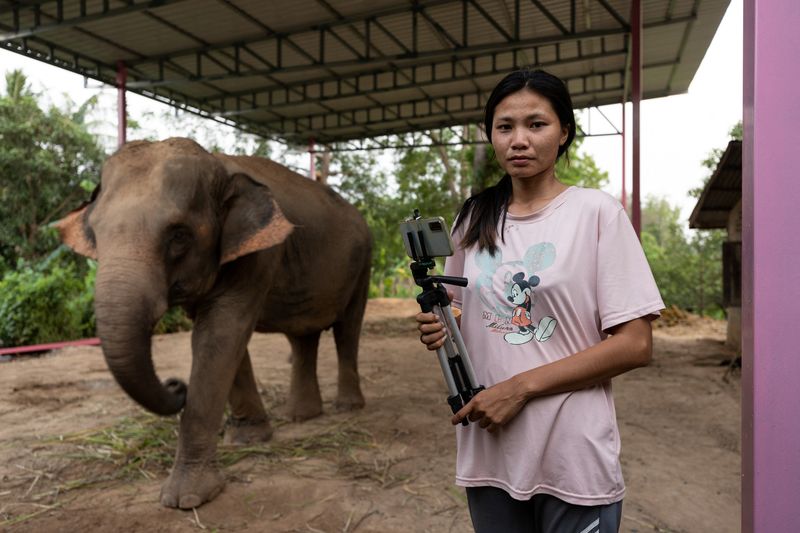 Streaming to survive: Thailand's out-of-work elephants in crisis