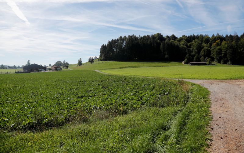 © Reuters. A farmhouse is seen in the Haberstal area, which the Swiss National Cooperative for the Disposal of Radioactive Waste (NAGRA) confirmed to be the favoured location for an underground nuclear waste storage site, close to the German border near the village of Stadel, Switzerland September 12, 2022. REUTERS/Arnd Wiegmann