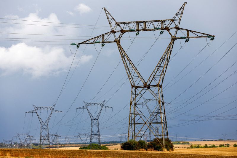 &copy; Reuters. FILE PHOTO: Pylons of high-tension electricity power lines are pictured near Villers-la-Montagne in France, September, 3, 2022. REUTERS/Gonzalo Fuentes