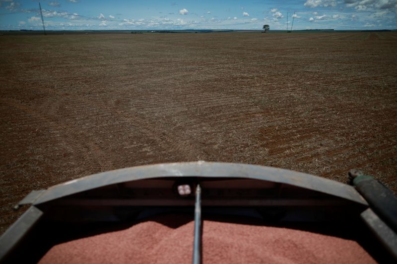 &copy; Reuters. Fertilizantes sendo aplicados em plantação de soja no Brasil. REUTERS/Adriano Machado