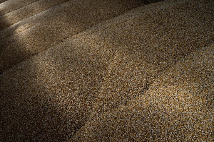 &copy; Reuters. FOTO DE ARCHIVO: Se ven granos de maíz dentro de un almacén en una granja en el pueblo de Yerkivtski, mientras continúa el ataque de Rusia contra Ucrania, en la región de Kiev, Ucrania,