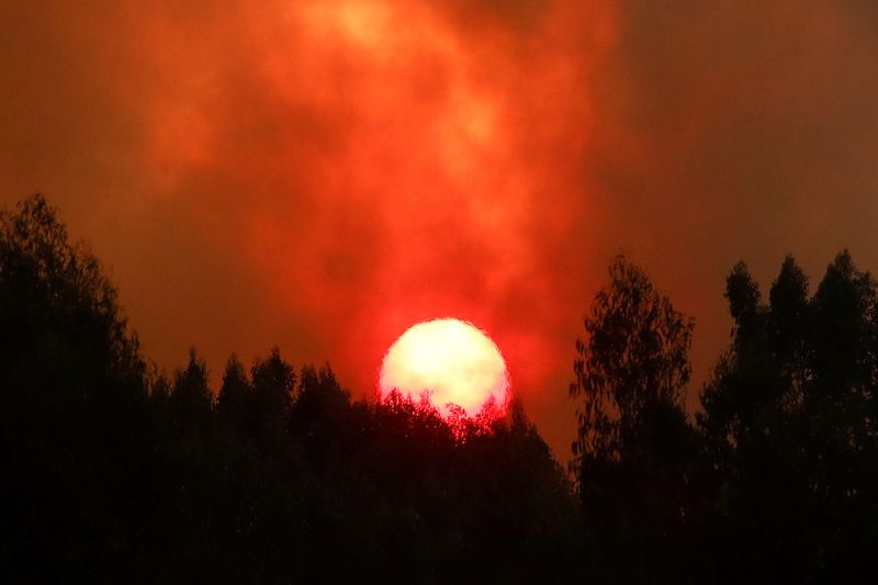 &copy; Reuters. Le soleil est vu alors qu'un feu de forêt se développe à Venda do Pinheiro à Mafra, au Portugal. /Photo prise le 31 juillet 2022/REUTERS/Pedro Nunes