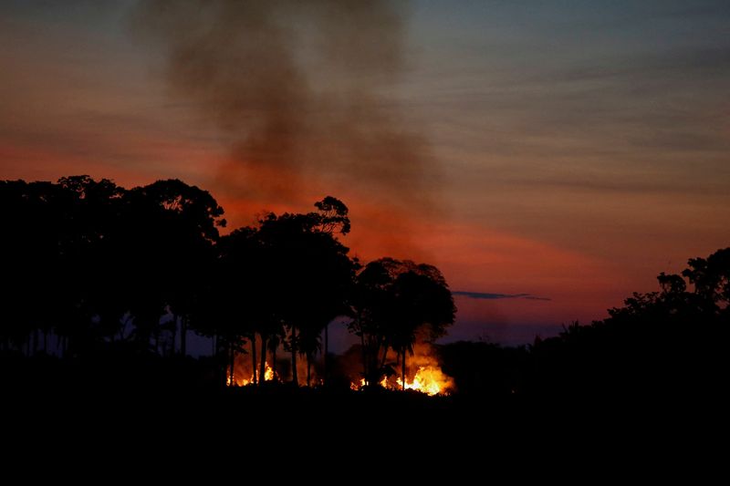 &copy; Reuters. Incêndio queima a Floresta Amazônica em Rondônia
28/09/2021
REUTERS/Adriano Machado