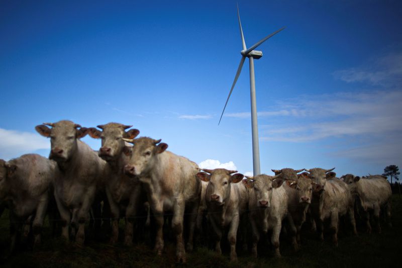 &copy; Reuters. FILE PHOTO: Cattle gather in a field near a wind turbine in the Landes de Couesme wind farm near La Gacilly, western France, April 26, 2014.  REUTERS/Stephane Mahe