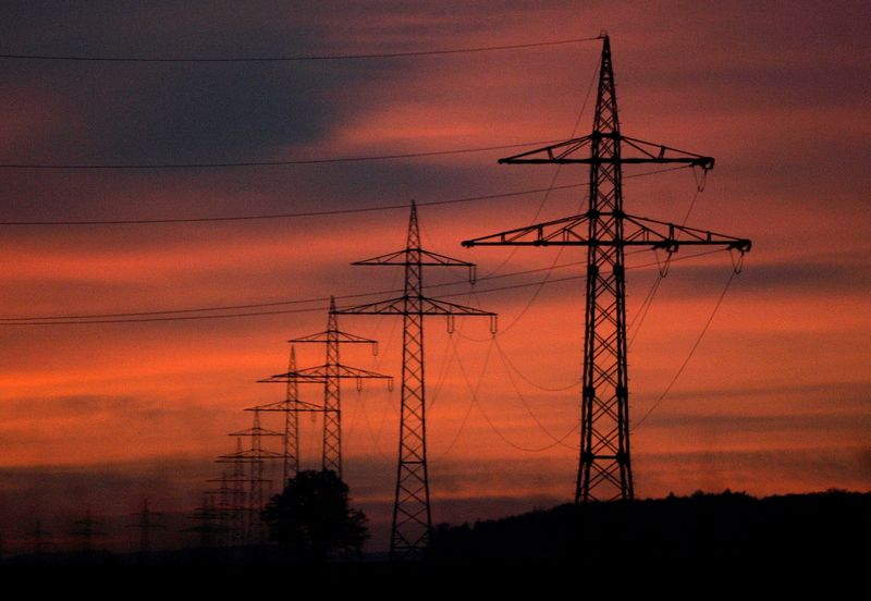 © Reuters. FILE PHOTO: High-voltage power lines and electricity pylons are pictured during sunset near the southern German city of Ulm, November 7, 2006. EREUTERS/Alexandra Beier/File Photo