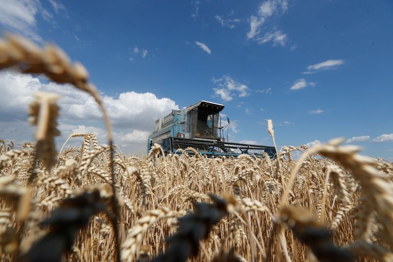 &copy; Reuters. Imagen de archivo de una máquina cosechando trigo en un campo cercano a Hrebeni, enm la región de Kiev, Ucrania. 17 julio 2020. REUTERS/Valentyn Ogirenko