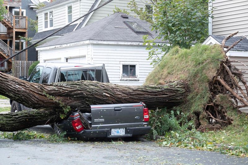 © Reuters. A fallen tree lies on a crushed pickup truck following the passing of Hurricane Fiona, later downgraded to a post-tropical storm, in Halifax, Nova Scotia, Canada September 24, 2022.  REUTERS/Ted Pritchard