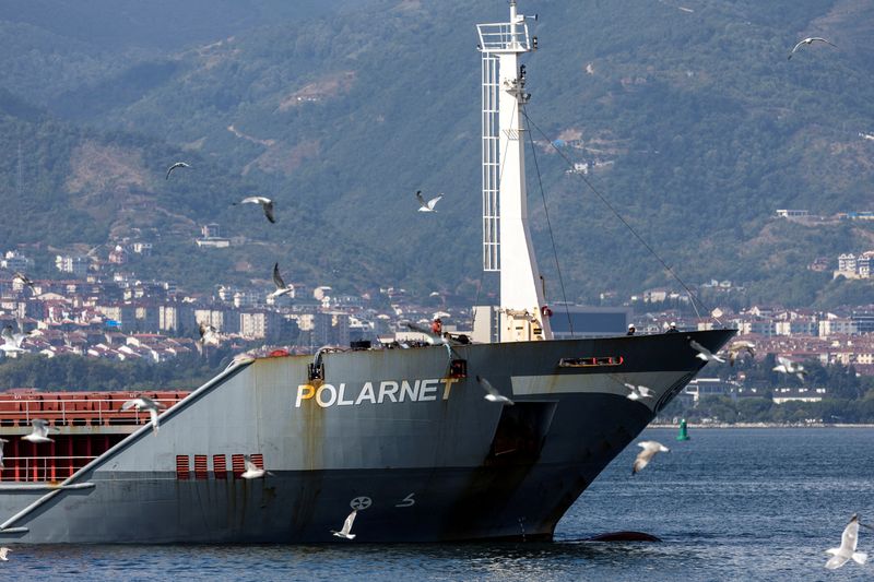 &copy; Reuters. سفينة بضائع ترفع علم تركيا تحمل شحنة حبوب من أوكرانيا في صورة بتاريخ الثامن أغسطس آب 2022. تصوير: أوميت بكطاش - رويترز.