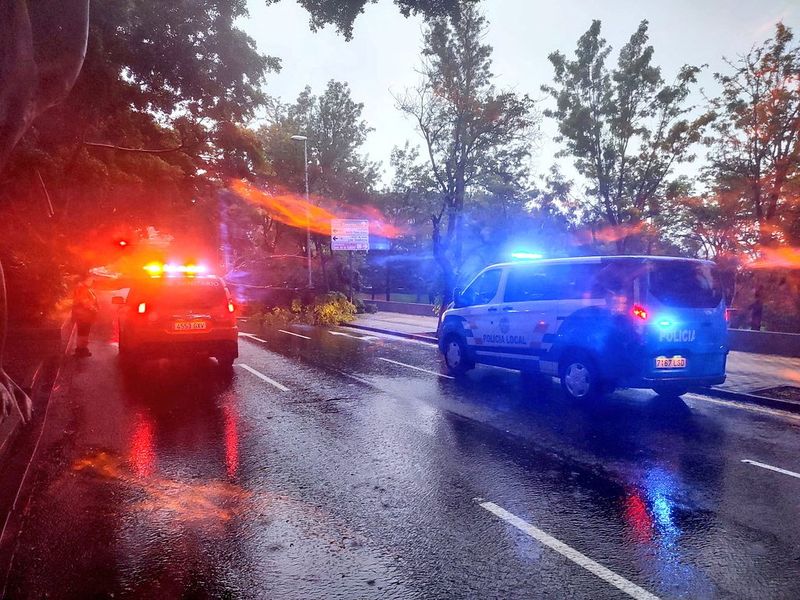 &copy; Reuters. عربة شرطة تقف أمام شجرة سقطت في أحد الشوارع في أعقاب عاصفة قوية ضربت جزر الكناري الإسبانية يوم الأحد. حصلت رويترز على هذه الصورة من وسائل الت