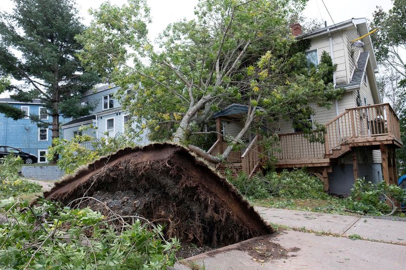 &copy; Reuters. FILE PHOTO: A fallen tree lies on a house following the passing of Hurricane Fiona, later downgraded to a post-tropical storm, in Halifax, Nova Scotia, Canada September 24, 2022.  REUTERS/Ted Pritchard