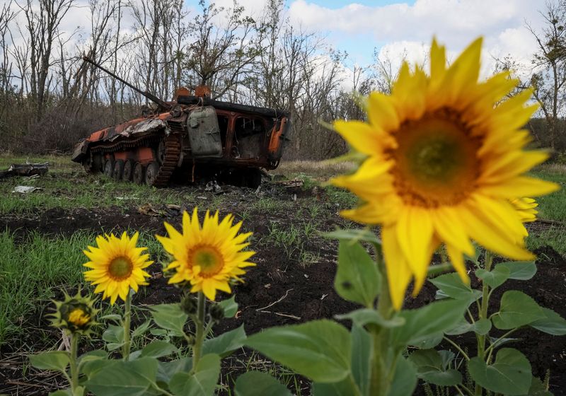© Reuters. FILE PHOTO: A destroyed Russian BMP-2 infantry fighting vehicle is pictured, as Russia's attack on Ukraine continues, near the town of Izium, recently liberated by Ukrainian Armed Forces, in Kharkiv region, Ukraine September 24, 2022.  REUTERS/Gleb Garanich 