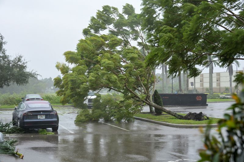 © Reuters. Os primeiros ventos do furacão Ian derrubam árvores em estacionamento de hotel em Sarasota, na Flórida. REUTERS/Steve Nesius