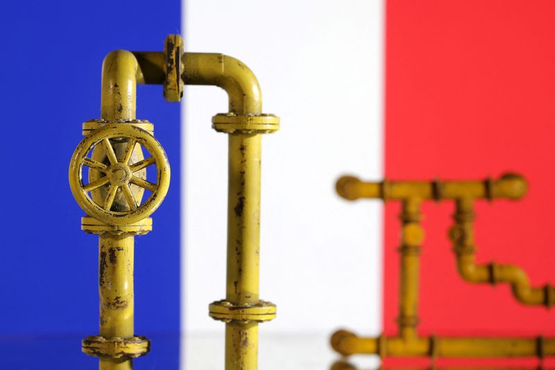 &copy; Reuters. Model of natural gas pipeline and France flag, July 18, 2022. REUTERS/Dado Ruvic/Illustration