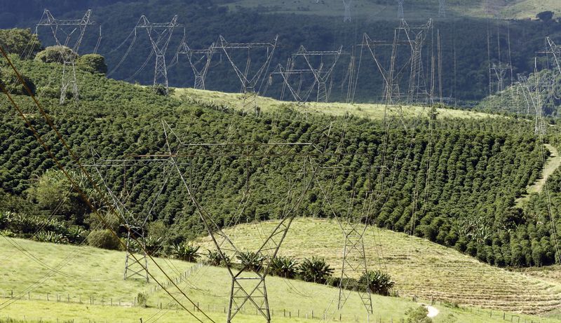 &copy; Reuters. Torres de linhas de transmissão de energia elétrica no Brasil. REUTERS/Paulo Whitaker 