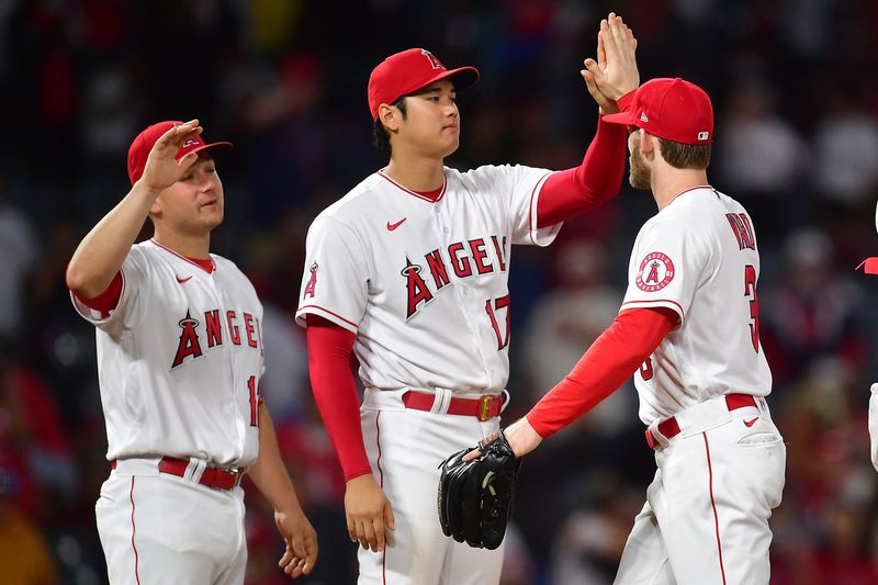 Baseball-Ohtani signs 30 million dollar one-year contract with Angels to avoid arbitration