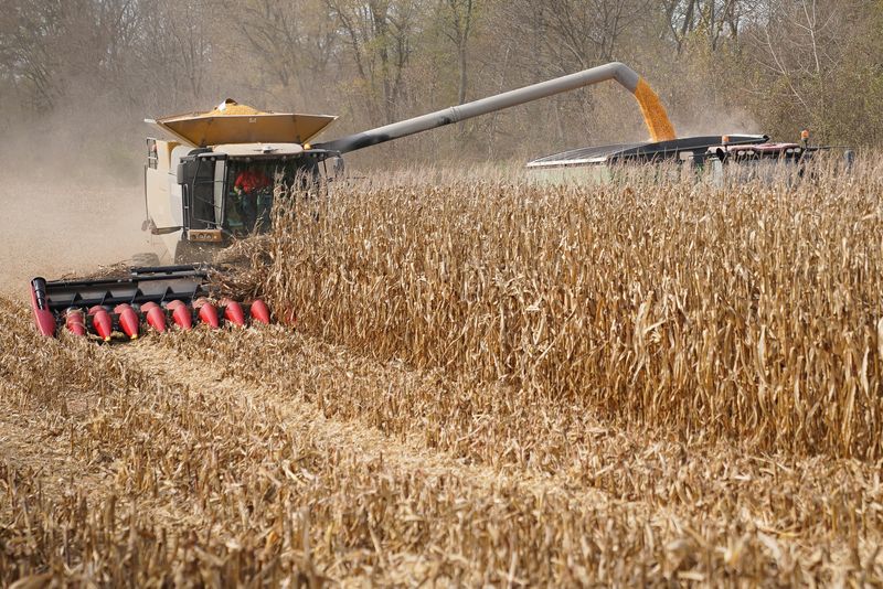 &copy; Reuters. Colheita de milho na fazenda Hodgen, em Roachdale, Indiana
03/10/2022
REUTERS/Bryan Woolston