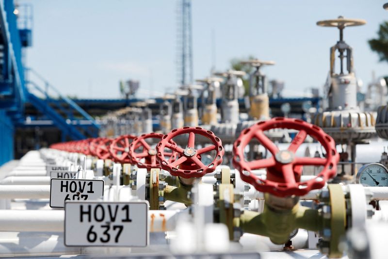 &copy; Reuters. FILE PHOTO: Gas valves are seen at Zsana Storage Site in Zsana, Hungary, May 20, 2022. REUTERS/Bernadett Szabo REFILE - CORRECTING YEAR
