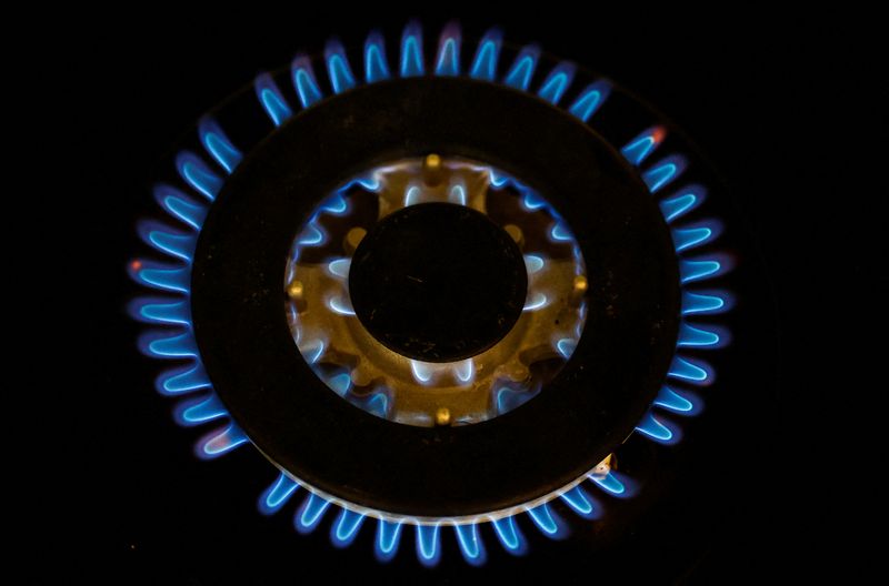 &copy; Reuters. FILE PHOTO: Flames from a gas burner on a cooker are pictured in a private home in this illustration picture taken June 27, 2022. REUTERS/Stephane Mahe/Illustration