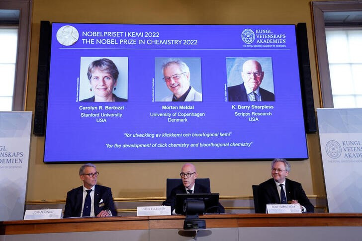 &copy; Reuters. Directivos del Comité del Nobel anuncian la concesión del premio en Química a los científicos Caroline R. Bertozzi, Morten Meldal y K. Barry Sharpless durante una conferencia de prensa en la Real Academia Sueca de las Ciencias en Estocolmo, Suecia. 5 