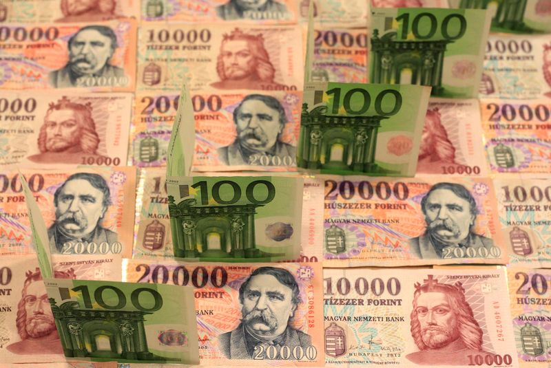 &copy; Reuters. FILE PHOTO: 100 Euro banknotes are seen on top of Hungarian forint banknotes of various denominations in this illustration picture shot February 5, 2014.  REUTERS/Bernadett Szabo/Illustration/File Photo