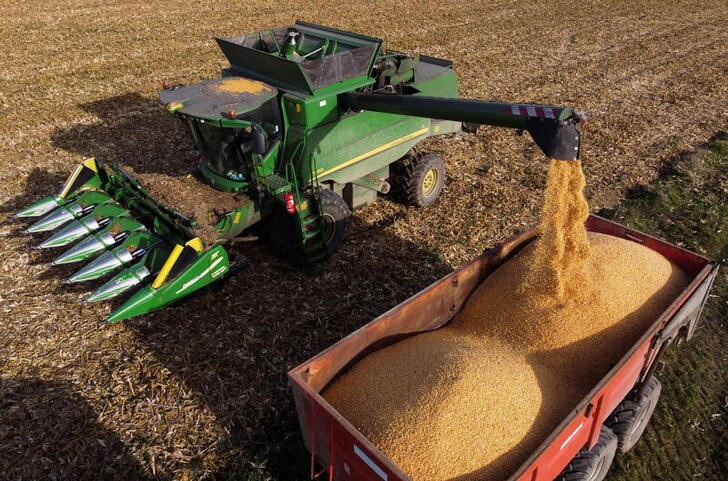 Cosecha francesa de maíz en grano se reducirá a unos 10 millones de toneladas, según productores