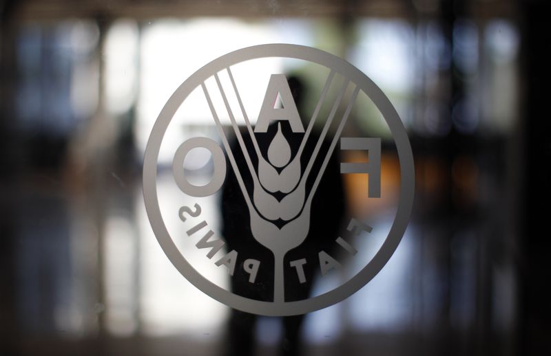 &copy; Reuters. FILE PHOTO:A FAO's logo is seen at the FAO headquarters in Rome September 6, 2012.
REUTERS/Alessandro Bianchi 