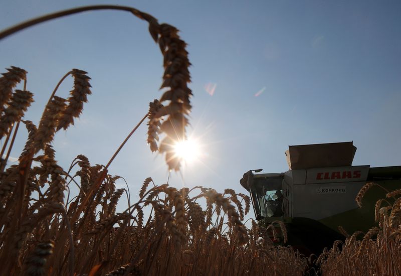 &copy; Reuters. Colheita de trigo na região de Kiev, Ucrânia 
17/07/2020
REUTERS/Valentyn Ogirenko