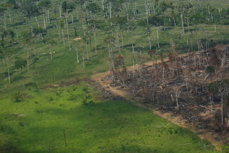 &copy; Reuters. Incêndio na floresta amazônica em Rondônia
 28/9/2021    REUTERS/Adriano Machado