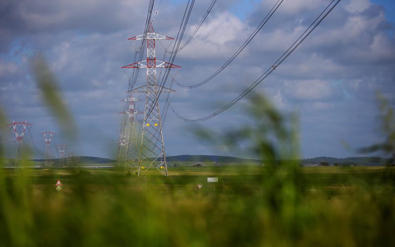 © Reuters. Terna high voltage pylons are seen in Montalto di Castro, central Italy, April 27, 2016. REUTERS/Max Rossi