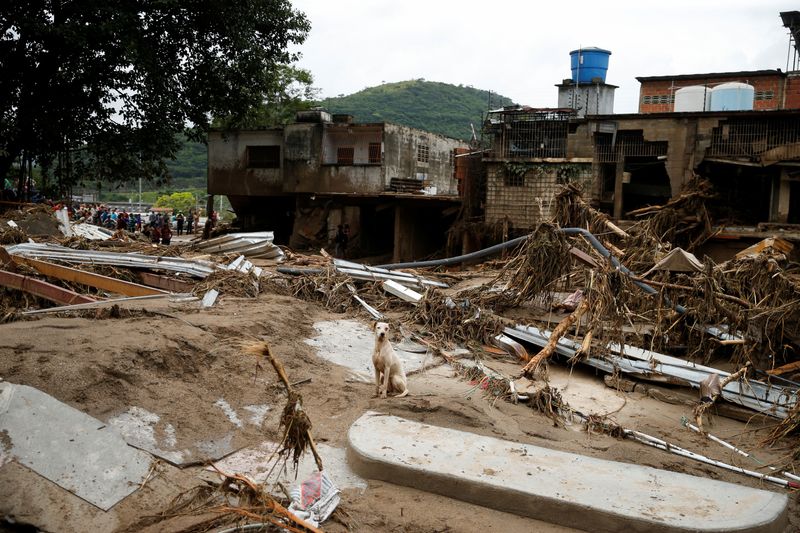 © Reuters. Vista de un deslizamiento de tierra afectado por fuertes lluvias en Las Tejerías, Estado Aragua, Venezuela, 9 de octubre de 2022. REUTERS/Leonardo Fernandez Viloria