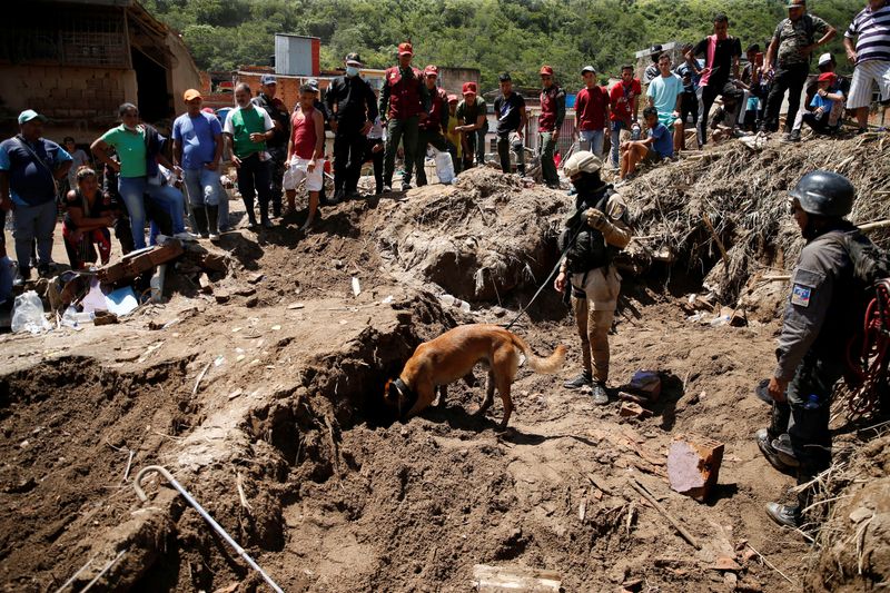 &copy; Reuters. أحد الكلاب المدربة التابعة للخدمة الوطنية للطب وعلوم الطب الشرعي يشارك في أعمال الإنقاذ في لاس تيخيرياس التي تعرضت لفيضانات مدمرة بعد هطول 
