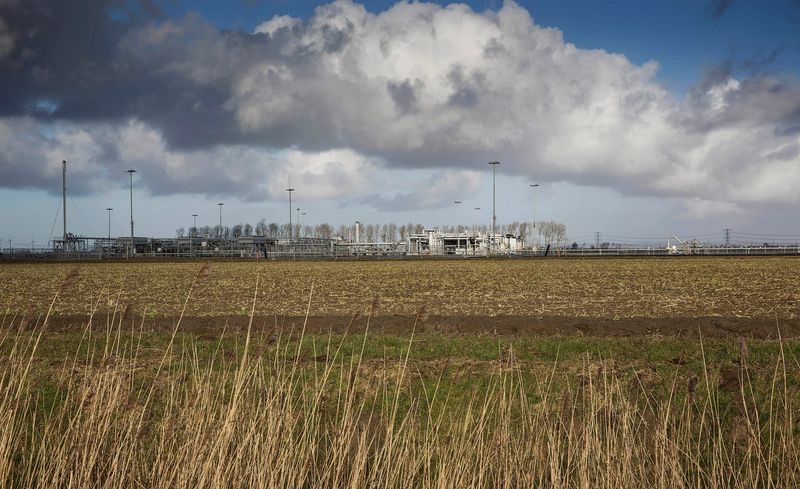 &copy; Reuters. FILE PHOTO: A view of a gas production plant is seen in 't Zand in Groningen February 24, 2015. REUTERS/Michael Kooren/File Photo