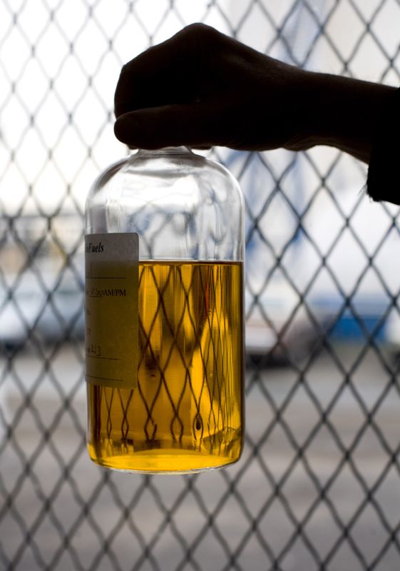 © Reuters. Produção de biodiesel em planta de Newark, New Jersey
03/08/2022
REUTERS/Jeff Zelevansky (UNITED STATES)