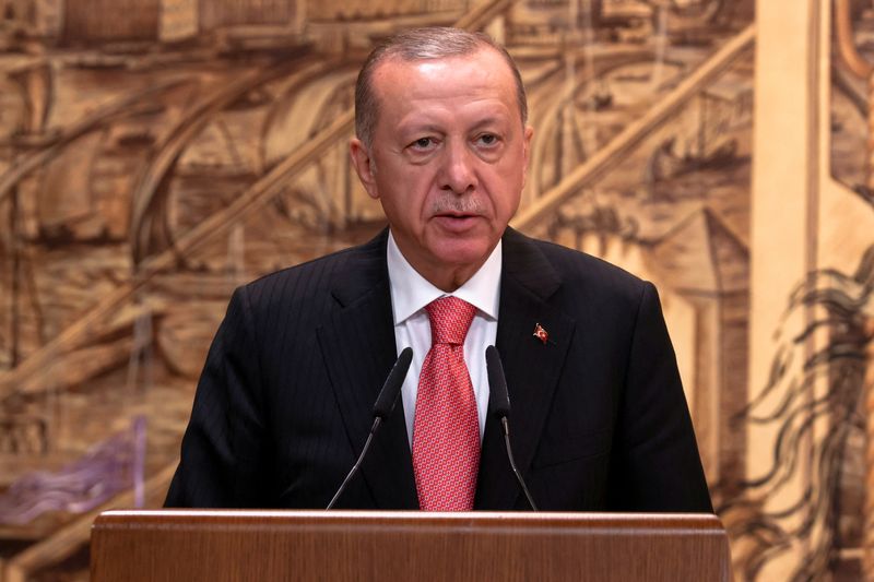 &copy; Reuters. الرئيس التركي رجب طيب أردوغان يتحدث خلال حفل توقيع في إسطنبول يوم 22 يوليو تموز 2022. تصوير: أوميت بكطاش- رويترز.