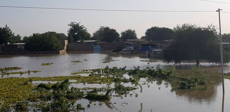 © Reuters. مياه الفيضانات تغمر منازل في العاصمة التشادية نجامينا يوم الجمعة. تصوير: محمد رمضان - رويترز

