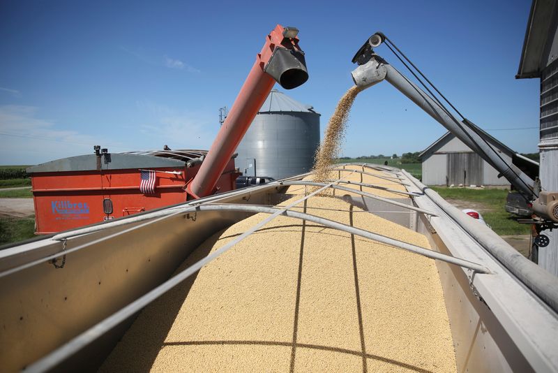 &copy; Reuters. Colheita de soja em fazenda de Illinois
17/10/2022
REUTERS/Daniel Acker
