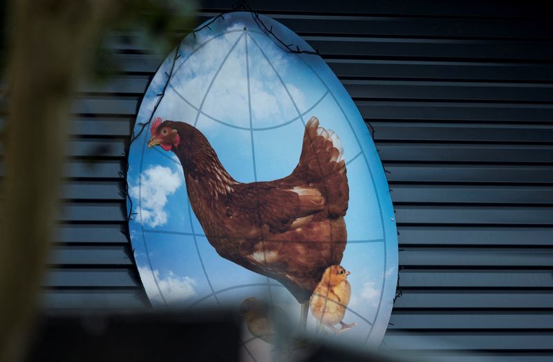 &copy; Reuters. Imagem de entrada de granja na Holanda
17/11/2014
REUTERS/Marco De Swart