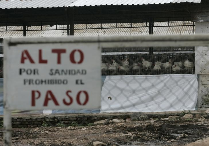 &copy; Reuters. Imagen de archivo de un cartel de advertencia sanitaria en una granja de Tepatitlán, Jalisco, México. 4 julio 2012. REUTERS/Alejandro Acosta