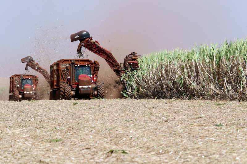 &copy; Reuters. Foto de archivo de una cosechadora en un campo sembrado con caña de azúcar en Pradopolis. 
Sep 13, 2018. REUTERS/Paulo Whitaker