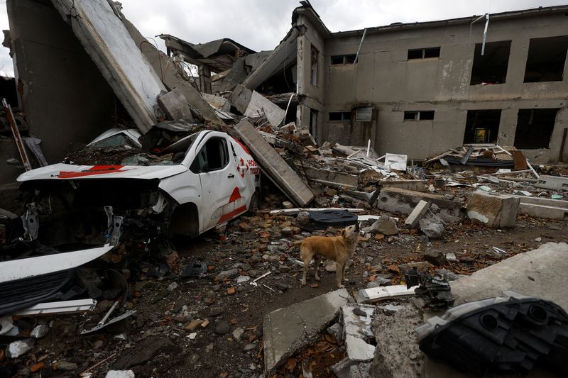 &copy; Reuters. Cão em meio aos destroços de escola destruída por ataque aéreo em vila próxima à linha de frente na região de Mykolaiv, na Ucrânia. REUTERS/Valentyn Ogirenko